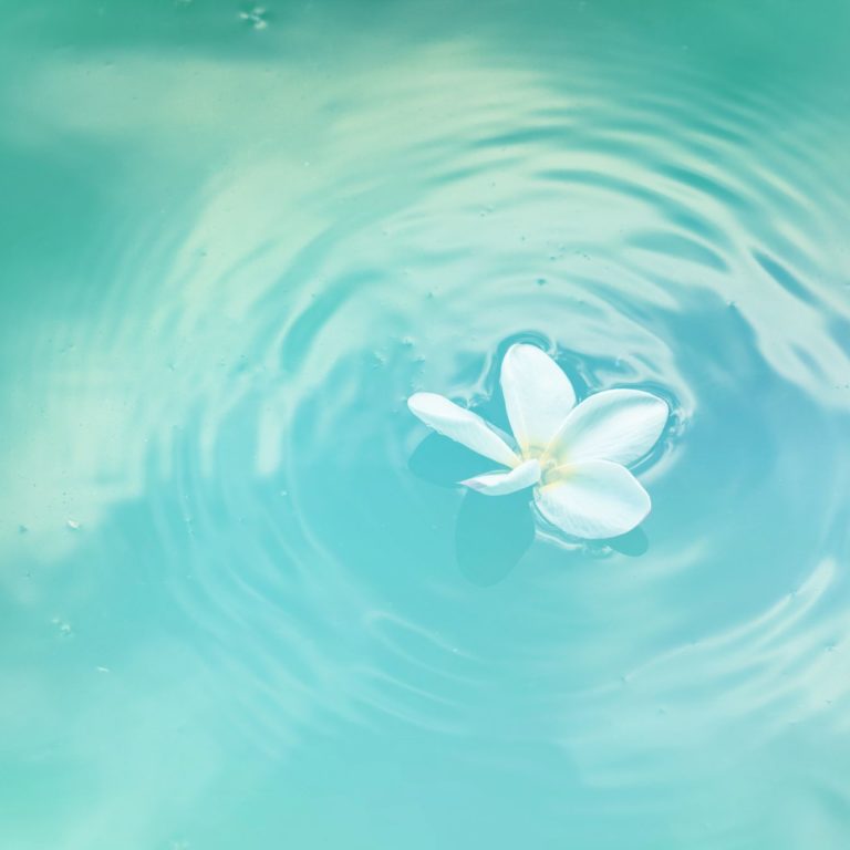 florecer en el agua