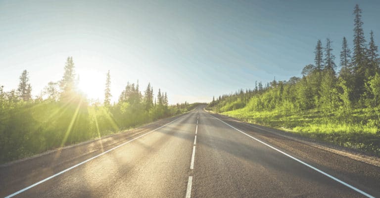 wide road embraced by rich nature