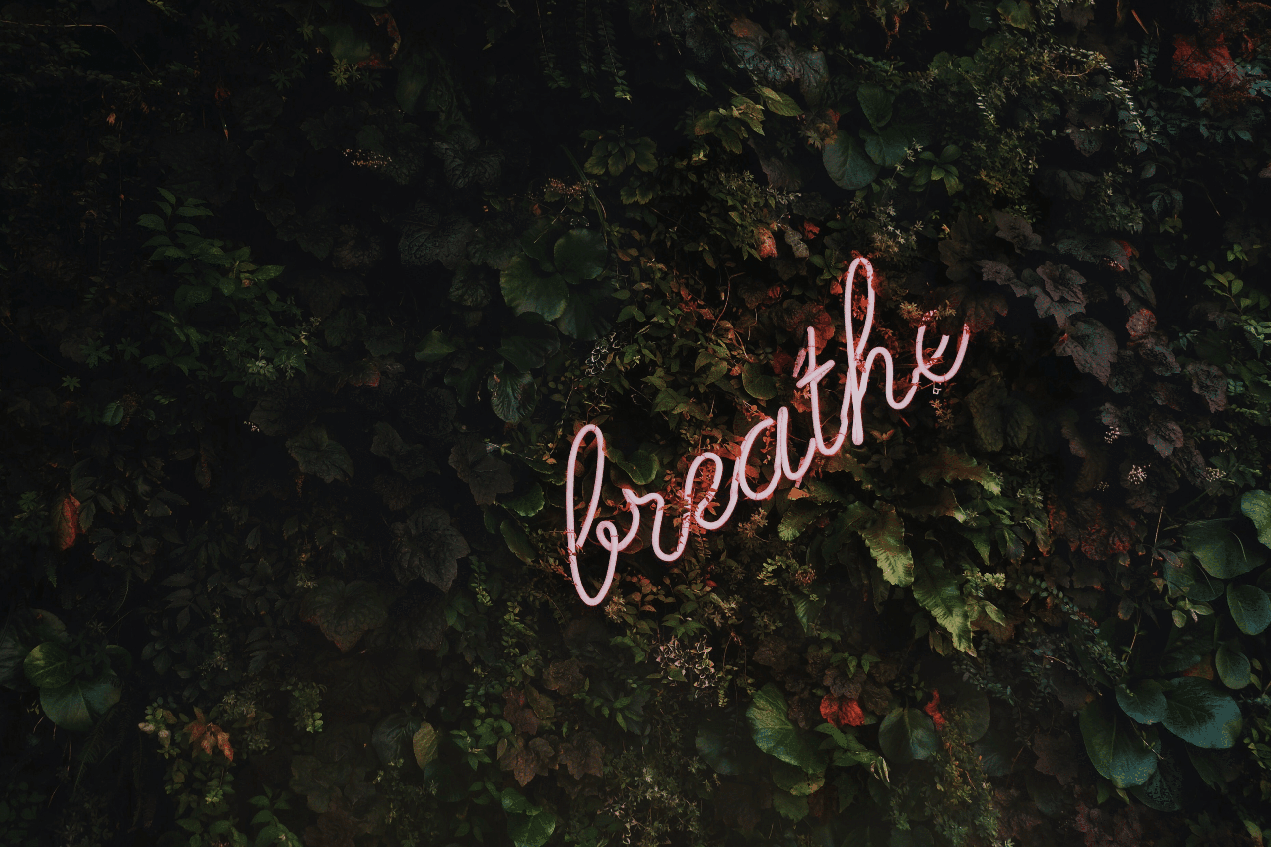 Breathe sign hidden in foliage