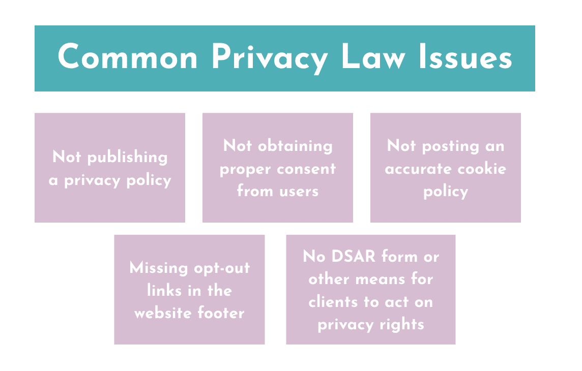 Common Privacy Law Issues